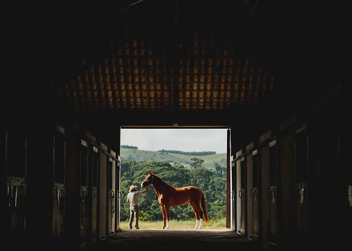 Hotel Fazenda Dona Carolina